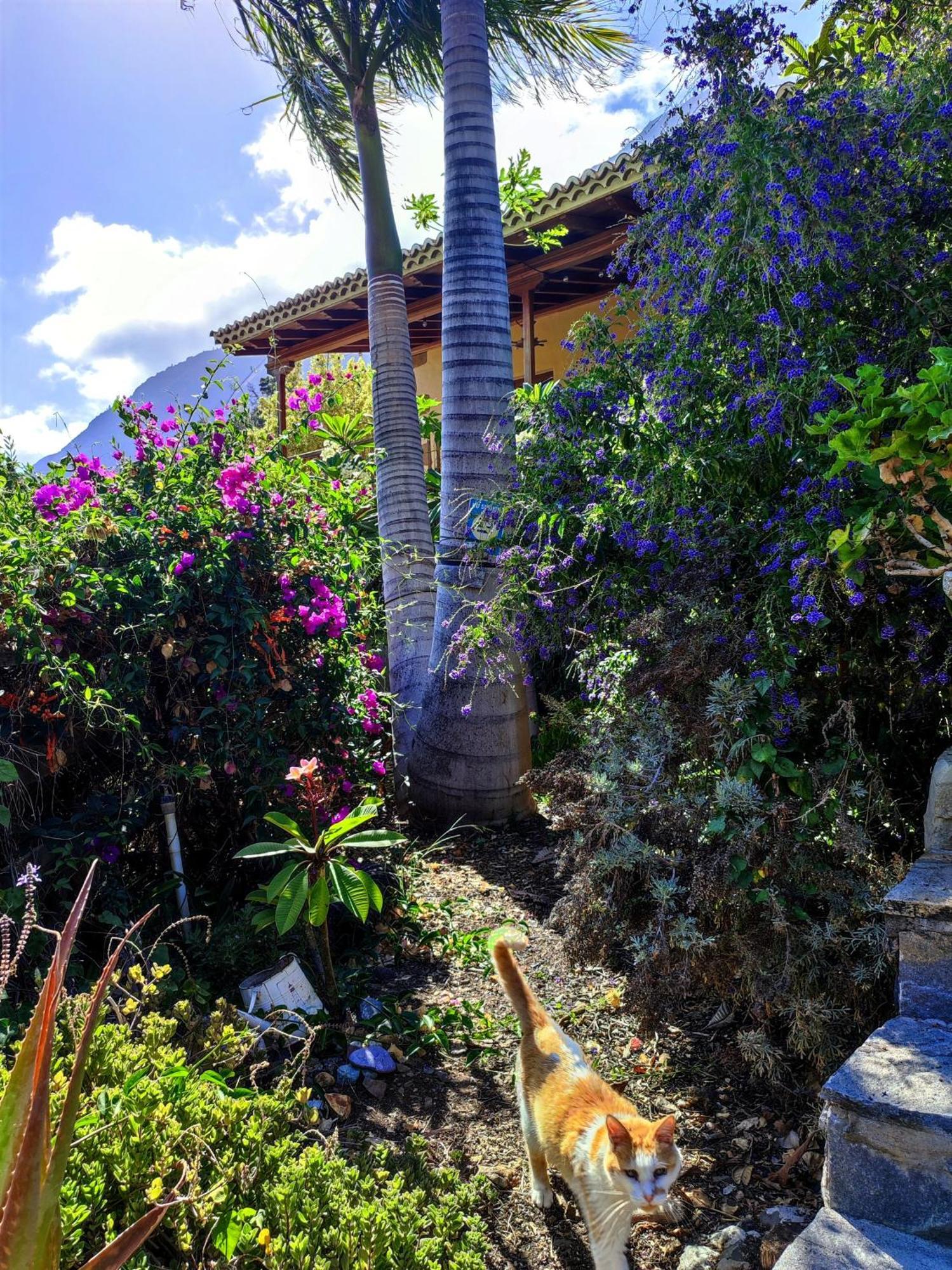 The Cradle Of The Moon, Rivendell Hotel El Paso Ngoại thất bức ảnh